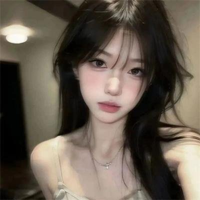 再见了,亲爱的总统